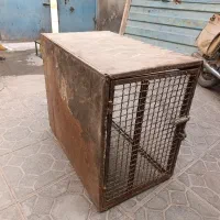 قفس اهنی