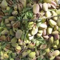 پوست خیس بادام  و خشک شده تمیز