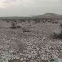 فروش زمین کشاورزی|فروش زمین و ملک کلنگی|جم, |دیوار