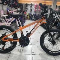 دوچرخه سایز 20 دنده ای جیانت