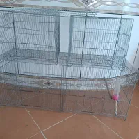 قفس پرنده