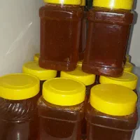 عسل با کیفیت|خوردنی و آشامیدنی|تهران, دانشگاه شریف|دیوار