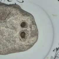 سنگ مشکوک به شهابسنگ