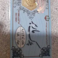 سکه پارسیان