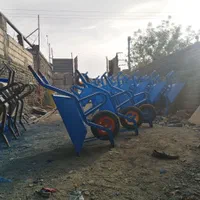 فرغون(فرقون)|ابزارآلات|مشهد, خین عرب|دیوار