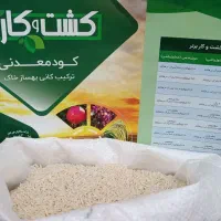 برنج ارگانیک|خوردنی و آشامیدنی|تهران, مهرآباد جنوبی|دیوار