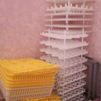 تعدادی وسایل(لوازم) دستگاه جوجه کشی