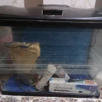 آکواریوم ماهیران