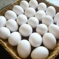 تخم مرغ محلی