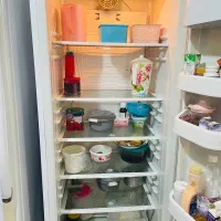 یخچال فریزر دوقلو الکترواستیل|یخچال و فریزر|رشت, پاستوریزه|دیوار