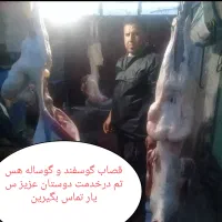 سلاخ گوسفند و گاو کرج مهرشهر اق تپه سیار