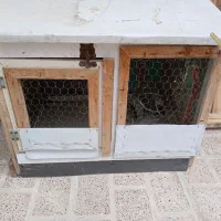 قفس مرغ وبلدرچین