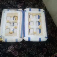 دوعدد سله خمیر