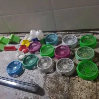 لوازم جانبی کبوتر|لوازم جانبی حیوانات|اهواز, کمپلو جنوبی|دیوار