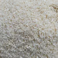 نیم دانه ریز دمسیاه