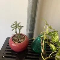 اجاره یک واحد اپارتمان در خیابان شریعتی