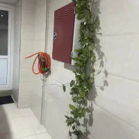 هویا رونده پر شاخه