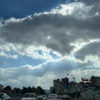 یک سگ پیدا شده