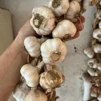 محصولات ارگانیک و محلی|خوردنی و آشامیدنی|رشت, عینک|دیوار