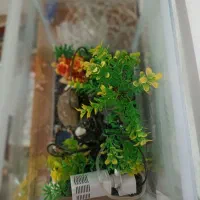 آکواریوم با همه وسایل تزئینی و پمپ|ماهی|یاسوج, |دیوار