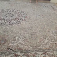 قالی پاتریس