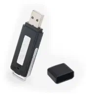 فلش ضبط صدا