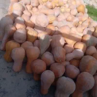 کدو|خوردنی و آشامیدنی|آشخانه, |دیوار