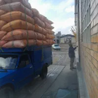 کاه گندم ریزونرم