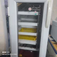 دستگاه جوجه کشی مشهد برق 168 تایی