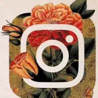 استخدام ادمین استوری پیج