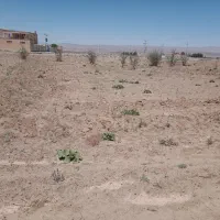 زمین مود