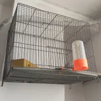 قفس پرنده