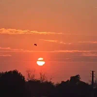 30 تومن خیلی فوری لازم دارم