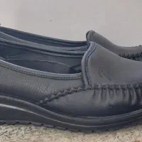 کفش و بوت  زنانه|کیف، کفش، کمربند|مشهد, تربیت (صدف)|دیوار