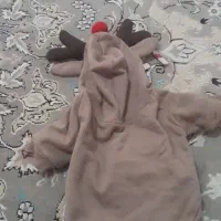 وسایل سگ|لوازم جانبی حیوانات|کرمانشاه, |دیوار
