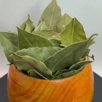 برگ بو