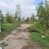 ۲۰۰۰متر زمین کشاورزی کاملا یکدست نزدیک امتیازات|فروش دفتر صنعتی، کشاورزی، تجاری|خمام, |دیوار