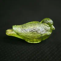 عسل خوری گنجشک
