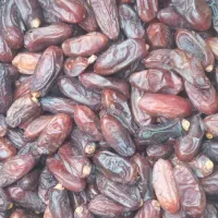 خرمای ربی صادراتی درجه ۱ امسالی اعلا|خوردنی و آشامیدنی|تهران, مخصوص|دیوار