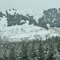 درکه کوهسار ۱۲۵ متر|فروش آپارتمان|تهران, درکه|دیوار