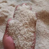 برنج محلی تولکی درجه یک|خوردنی و آشامیدنی|شاهین‌شهر, فردوسی|دیوار