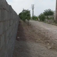 ۵۰۰۰ متر زمین چهاردیواری سنددار دارای مجوز گلخانه