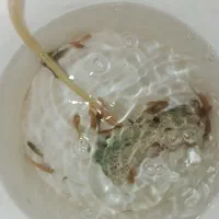 ماهی آکواریوم|ماهی|تربتحیدریه, میدان مرکزی|دیوار