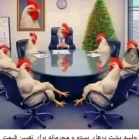 کارگر مرغداری