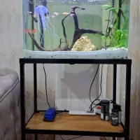 آکواریوم شرکتی ماهیران شیشه خم