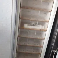 فریزر سوزان