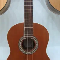 گیتار پارسی p40