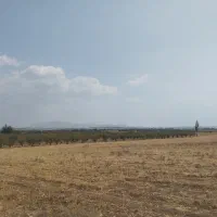 زمین باغی 1000متری کودیان|فروش زمین و ملک کلنگی|شیراز, کودیان|دیوار