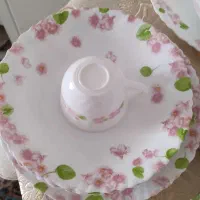 سرویس غذاخوری .آرکوپال امارت کد۲۲۳ .