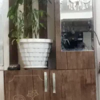 جاکفشی